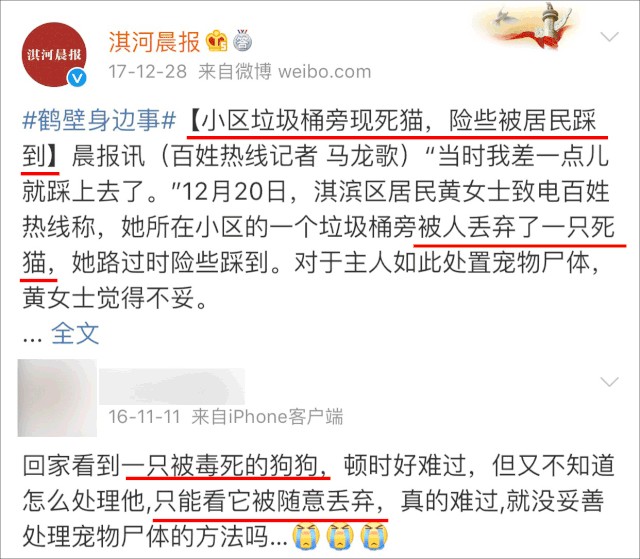 路边垃圾堆…宠物死后的归宿让人心寒！苏州五个无偿犬尸无害化收集点来了