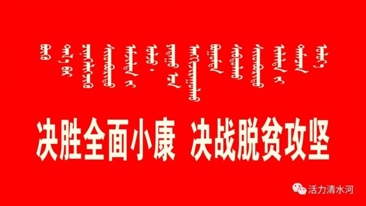 速看家里有宠物的速看！呼和浩特市养犬管理新规来了！